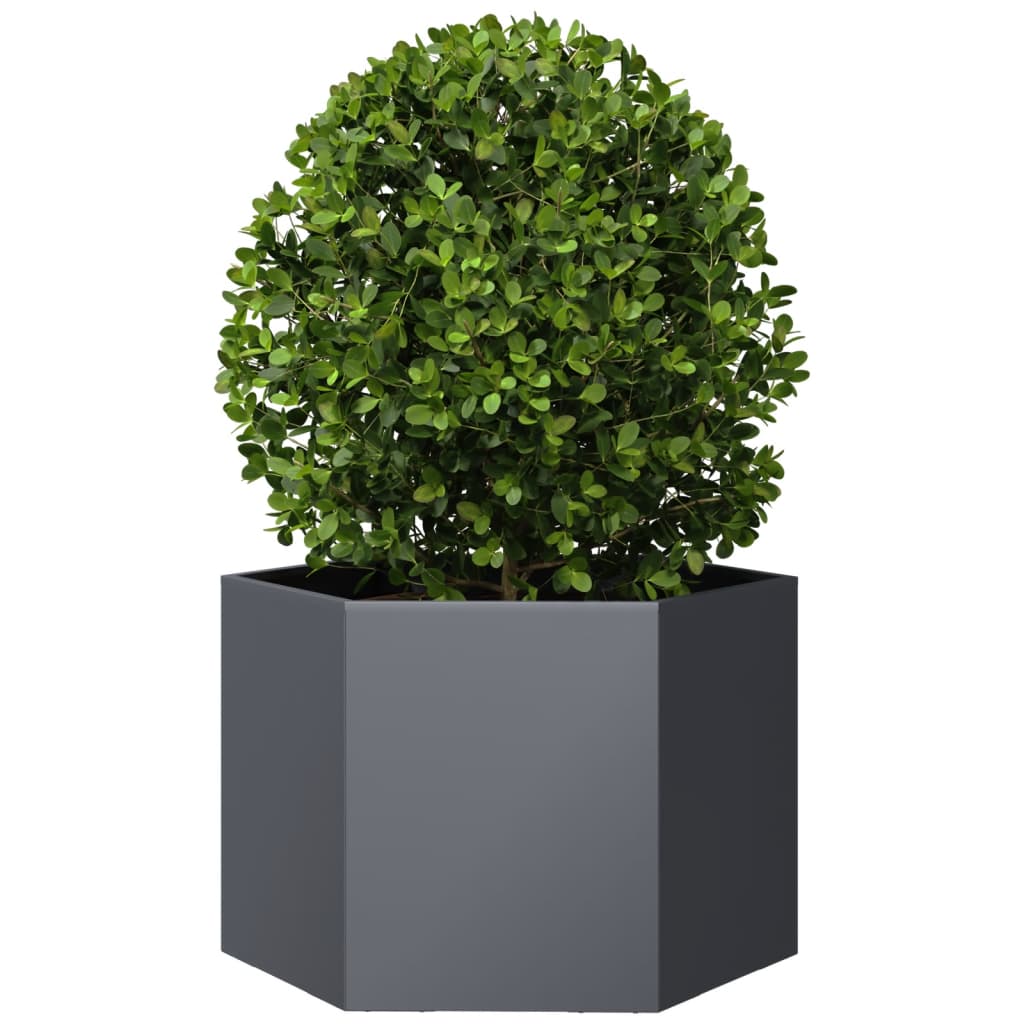 Plantador Vidaxl Benket Hexagon 69x60x45 cm de acero antracita