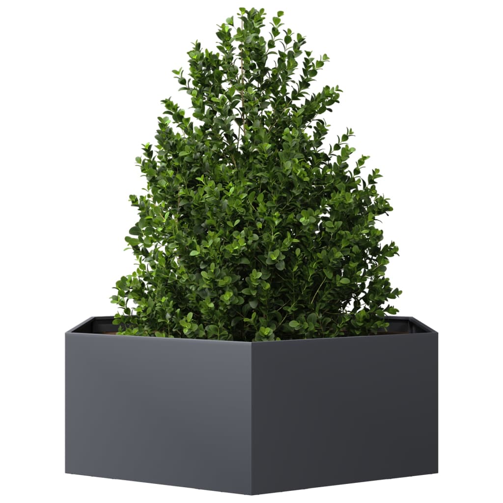 Plantador Vidaxl Benket Hexagon 138x120x45 cm de acero antracita