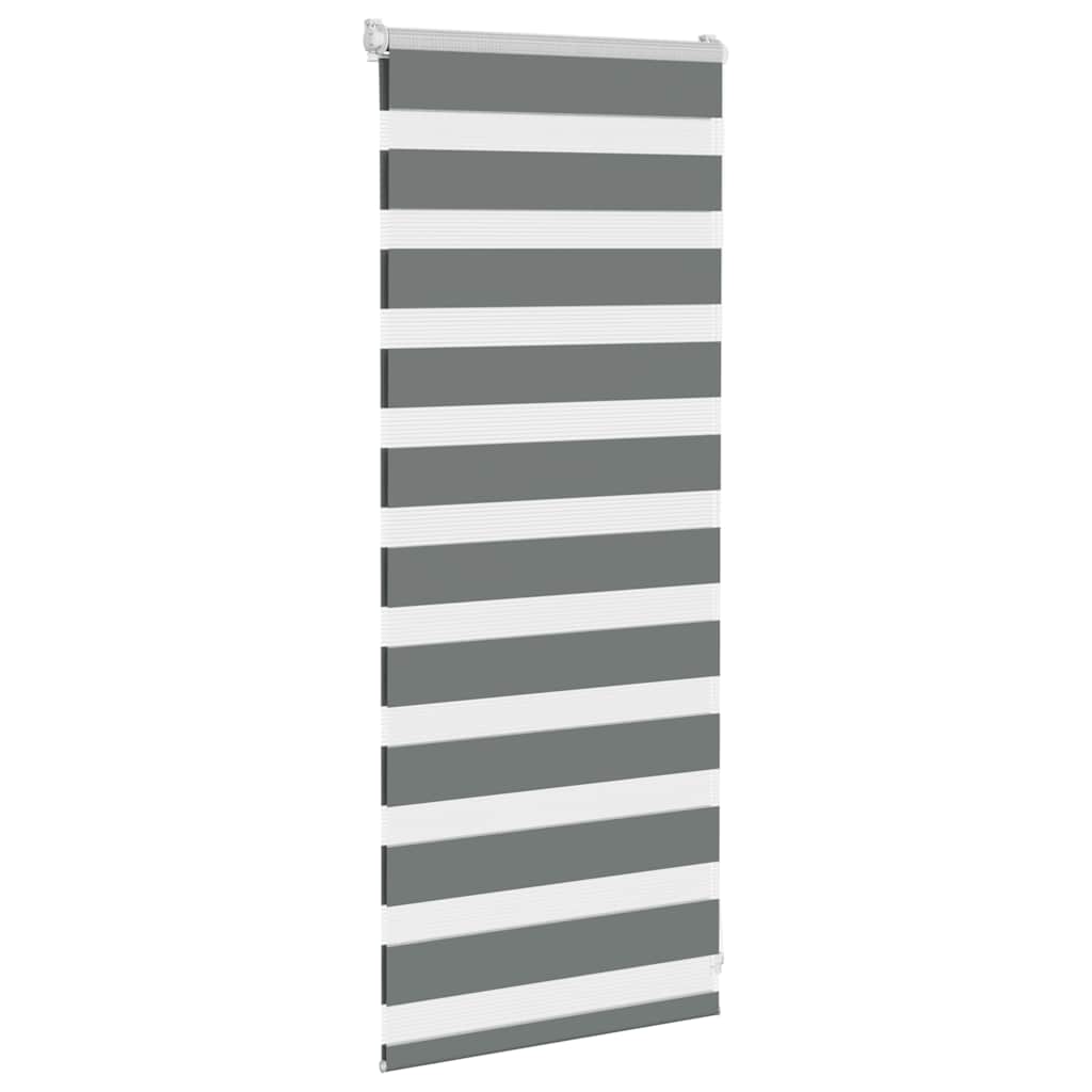Vidaxl Zebra Roller Blind 55x100 cm Larghezza polvere 50,9 cm Grigio scuro
