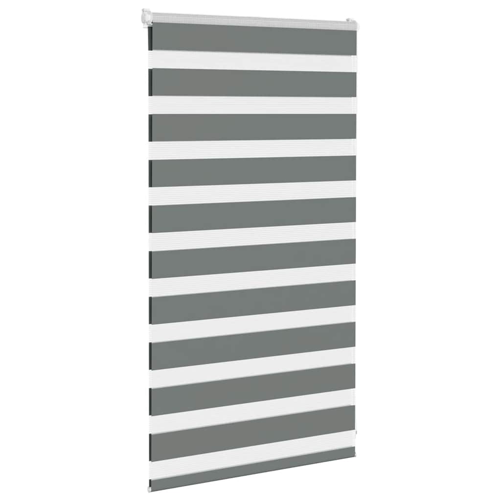 Vidaxl Zebra Roller Blind 80x100 cm ancho de polvo de 75.9 cm de gris oscuro