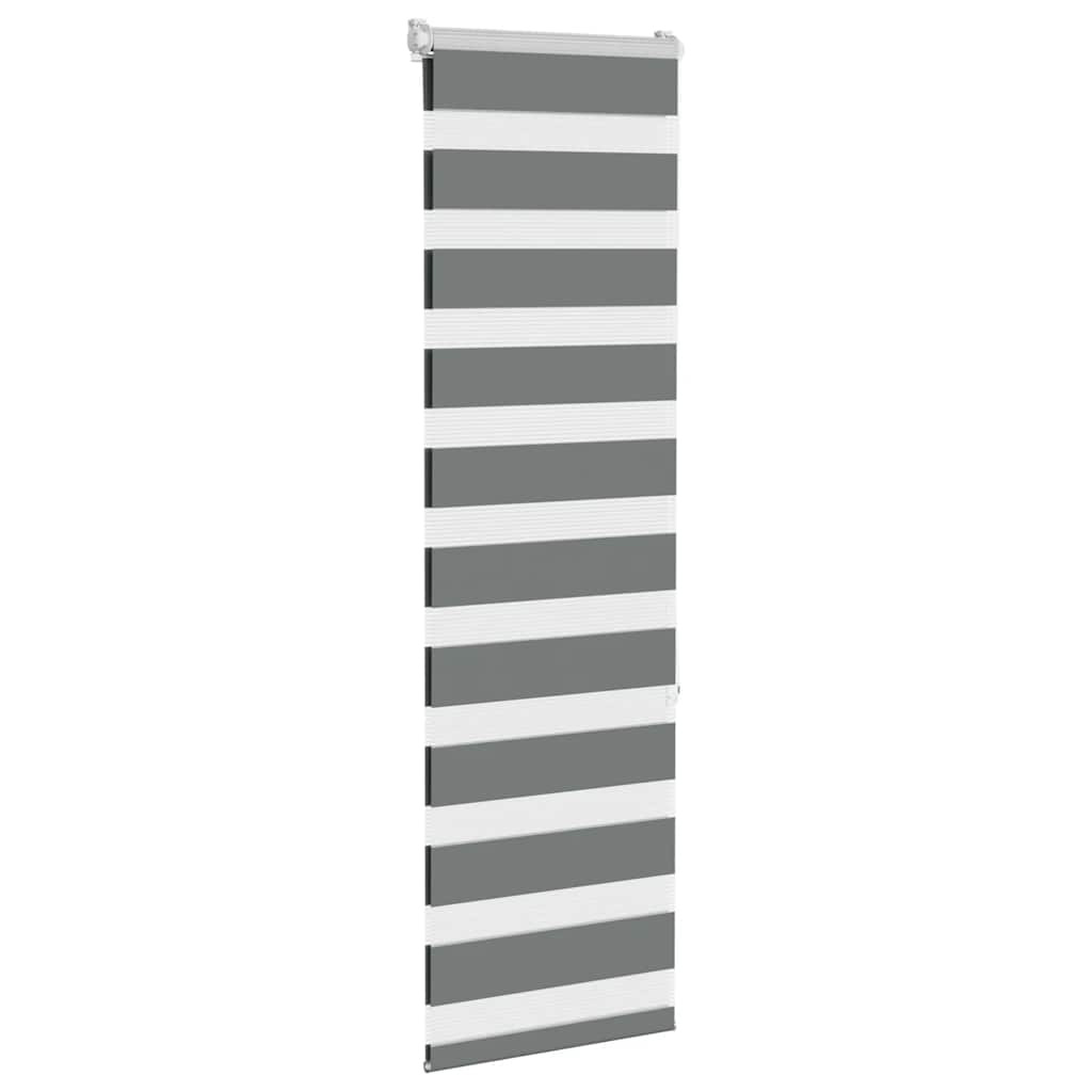 Vidaxl zebra rullo cieco 50x150 cm larghezza del tessuto 45,9 cm grigio scuro