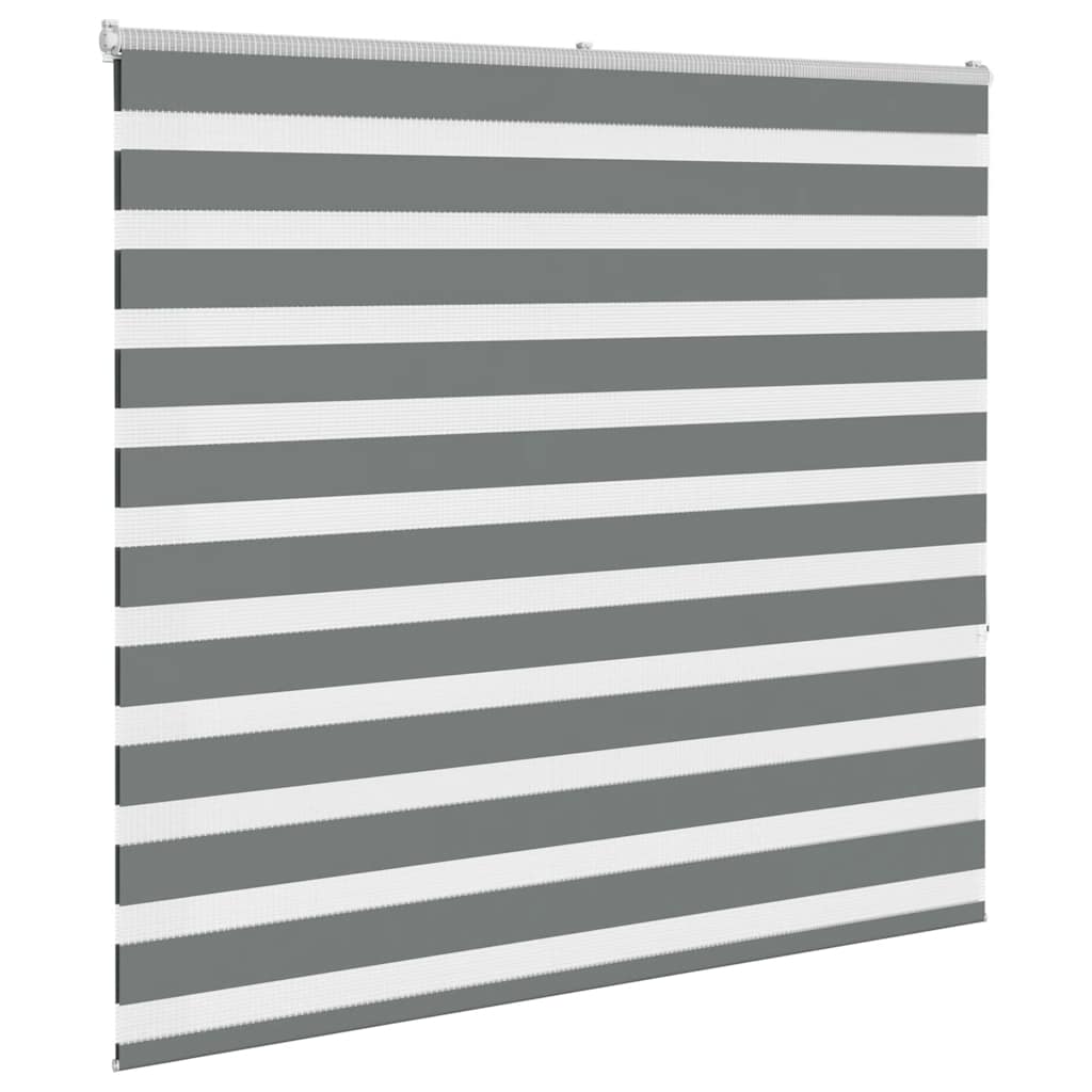 Tenda a rullo VidaXL zebrata 165x150 cm larghezza tessuto 160,9 cm grigio scuro