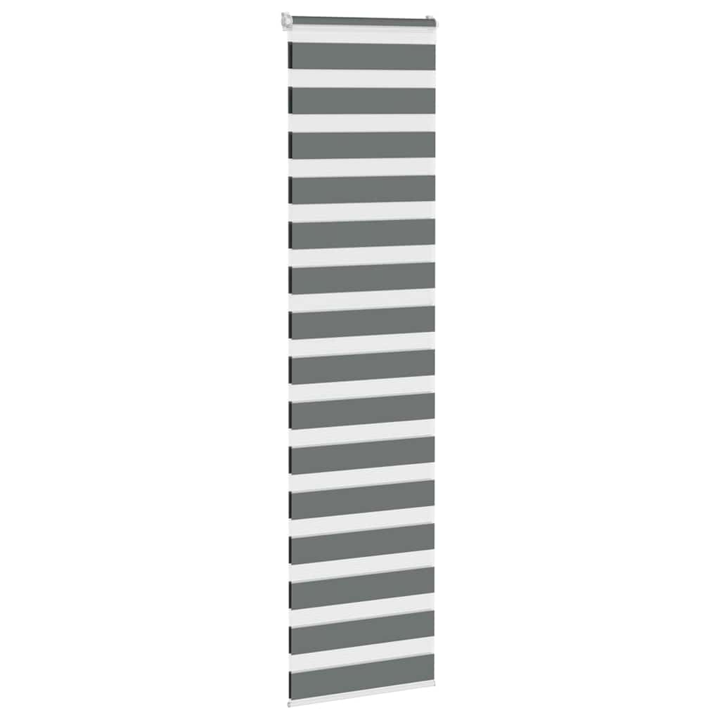 Vidaxl zebra rullo cieco 65x200 cm Larghezza tessuto 60,9 cm grigio scuro