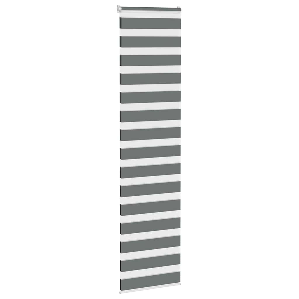 Vidaxl Zebra Roller Blind 70x200 cm de polvo ancho de 65.9 cm de gris oscuro