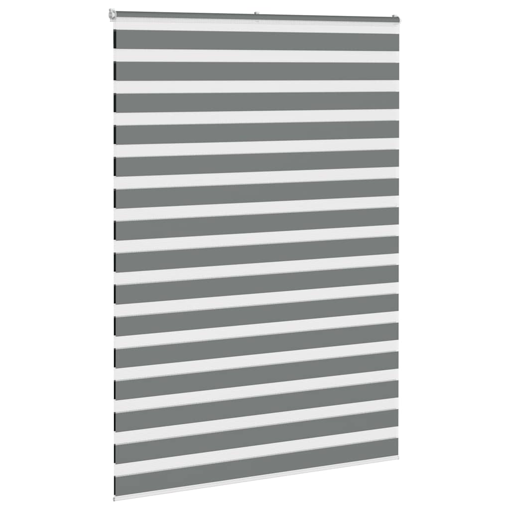 Vidaxl zebra rullo cieco 165x200 cm Larghezza tessuto 160,9 cm grigio scuro