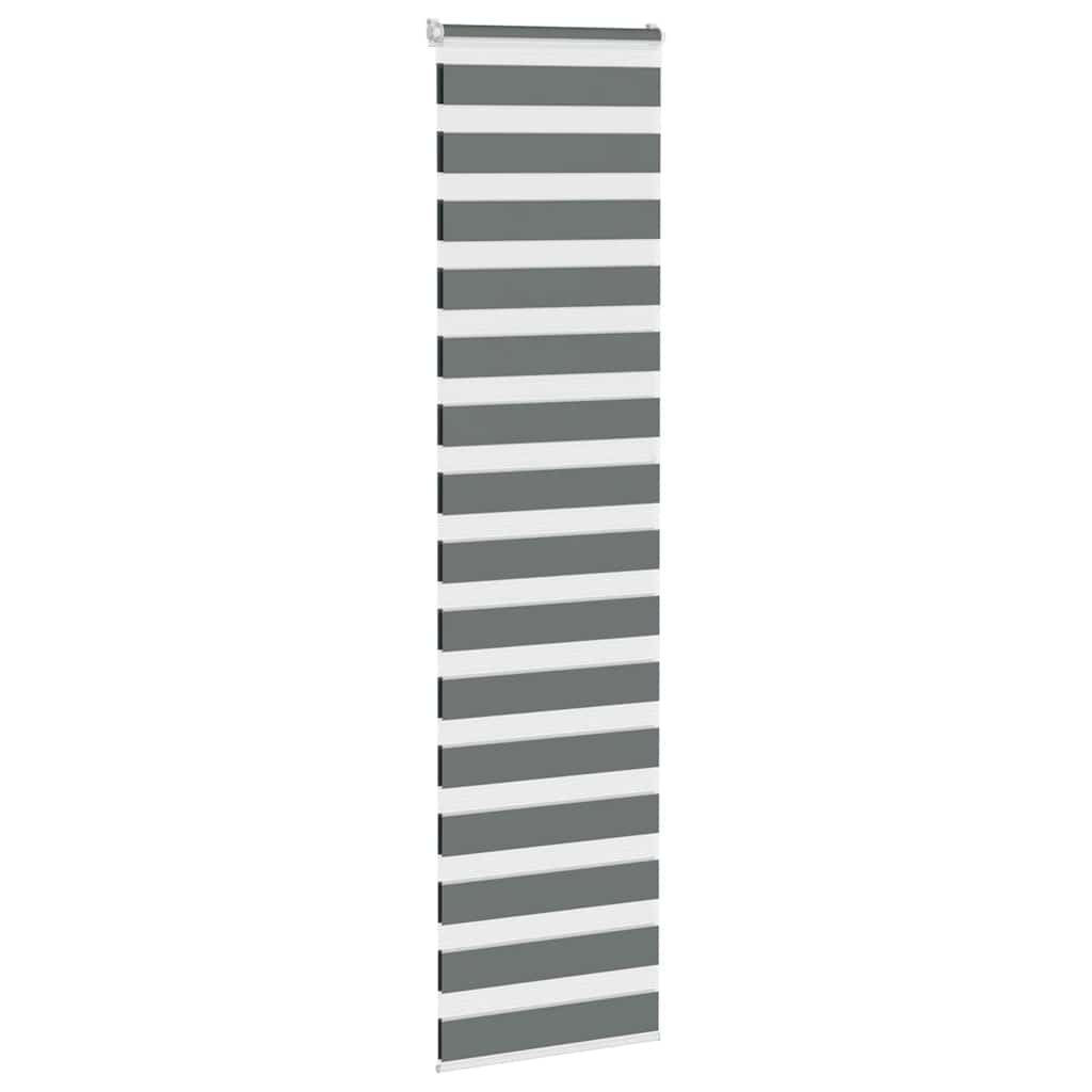 VidaXL estor enrollable cebra 60x230 cm ancho de tela gris oscuro 55,9 cm