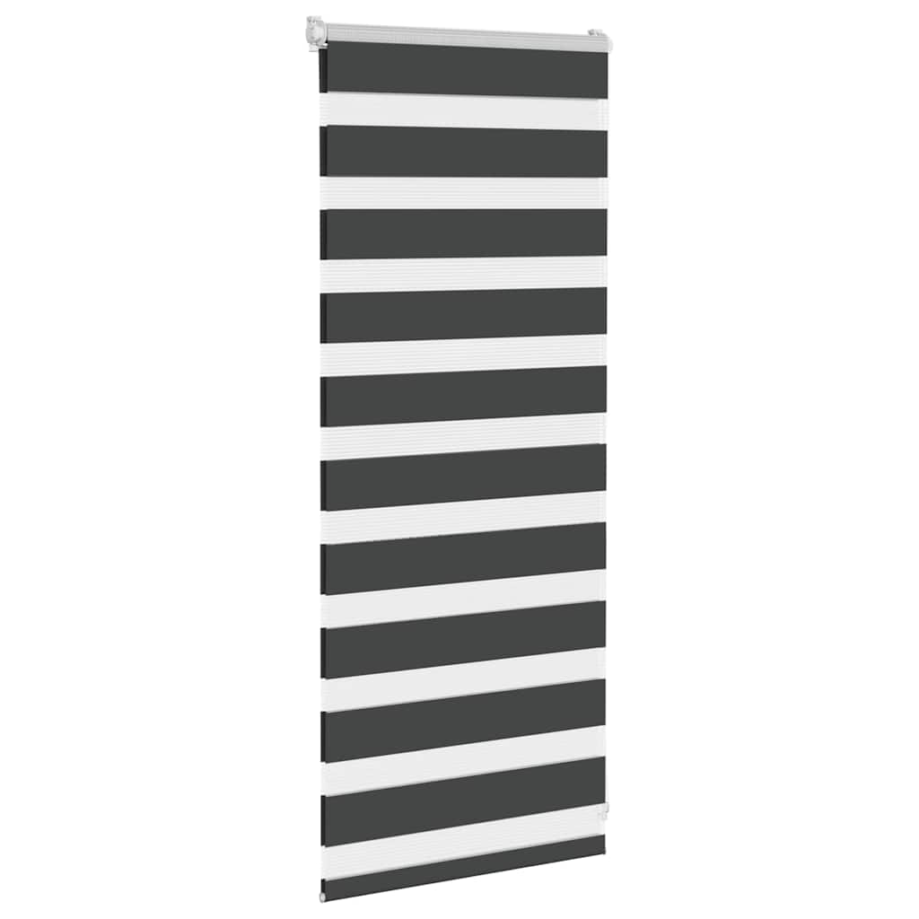 Vidaxl zebra rullo cieco 60x100 cm larghezza di polvere nera 55,9 cm