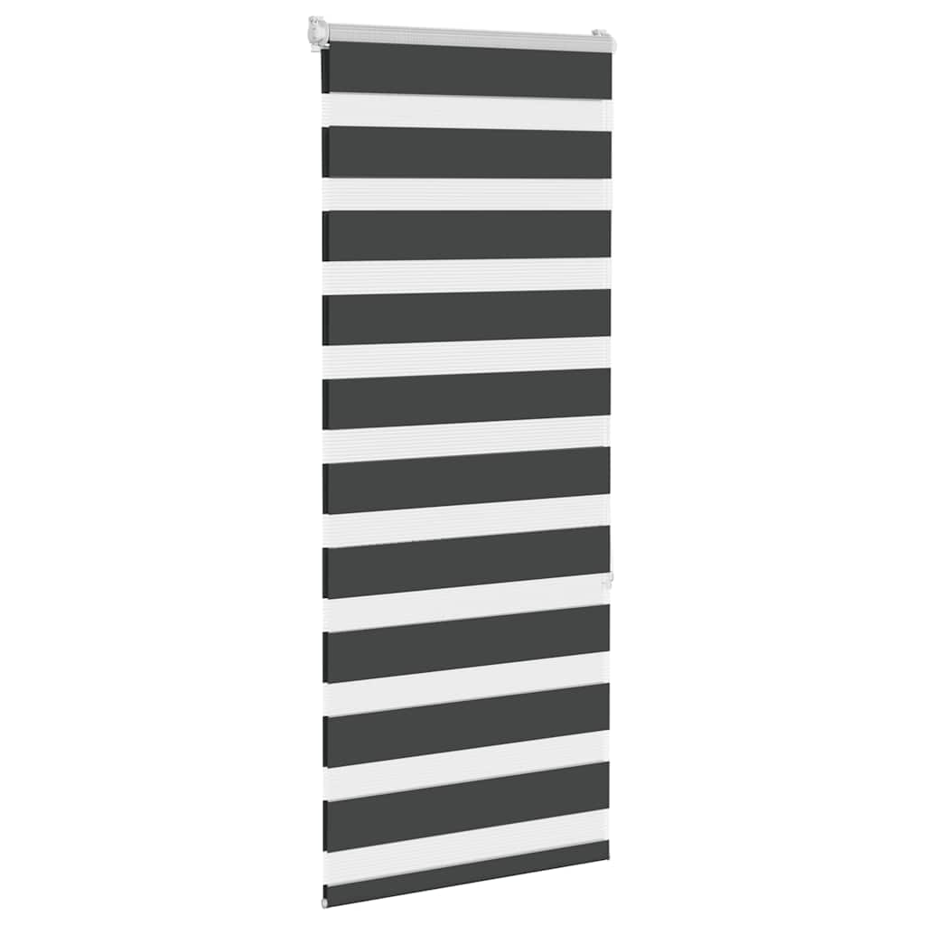 Vidaxl Zebra Roller Blind 65x150 cm de polvo ancho de 60,9 cm negro