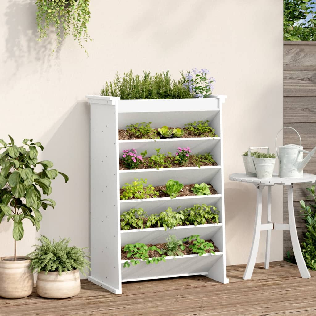 Vidaxl Herb Box a 6 strati 69x40x101,5 cm Pine bianco bianco