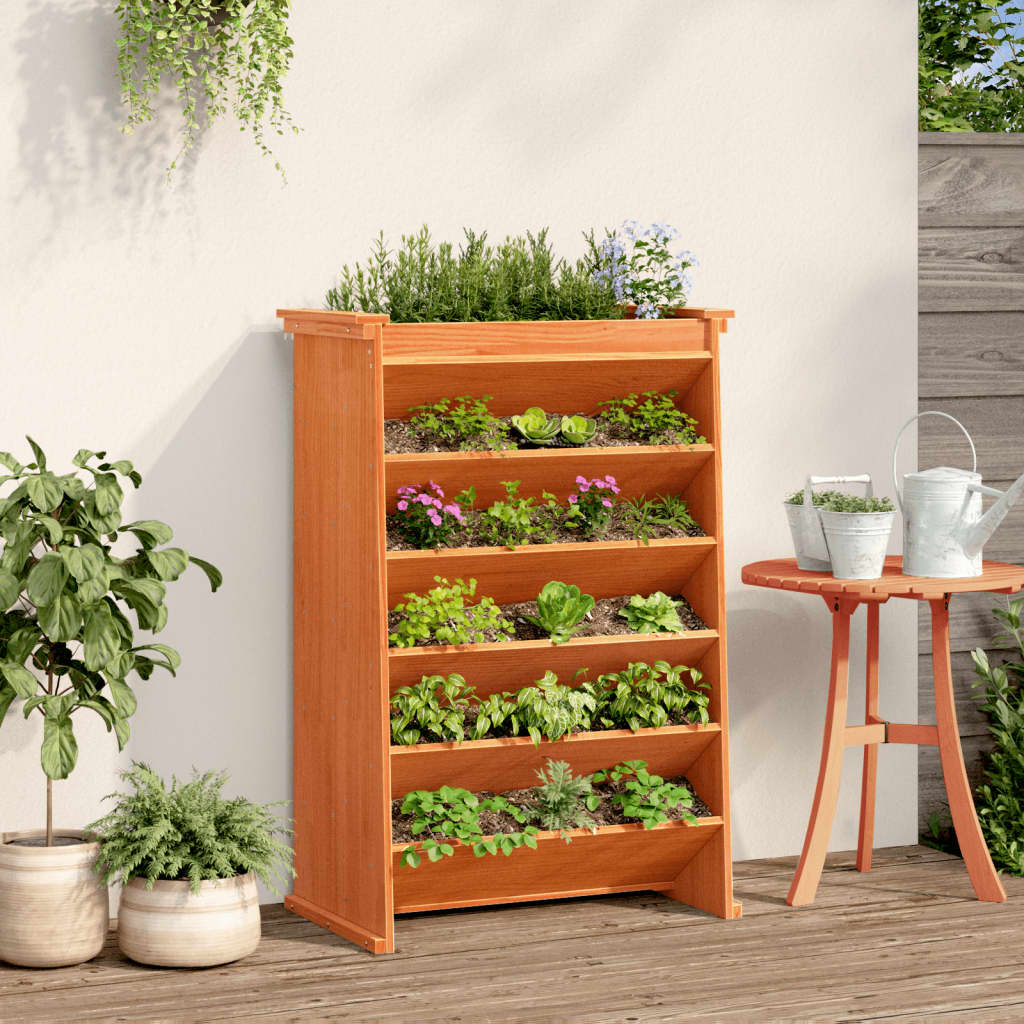 Vidaxl Herb Box 6 La capa 69x40x101.5 cm de pino sólido marrón