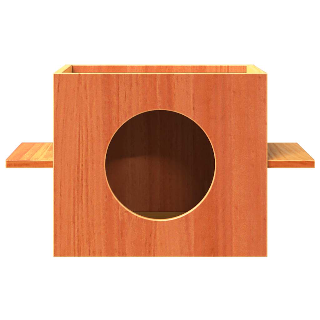 Vidaxl Kattenhuis 51x35x30 cm Pinna solido marrone