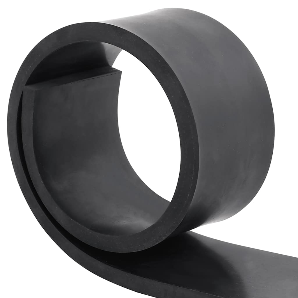 Bordo in gomma Vidaxx per spazzaneve 120x10x1 cm nero