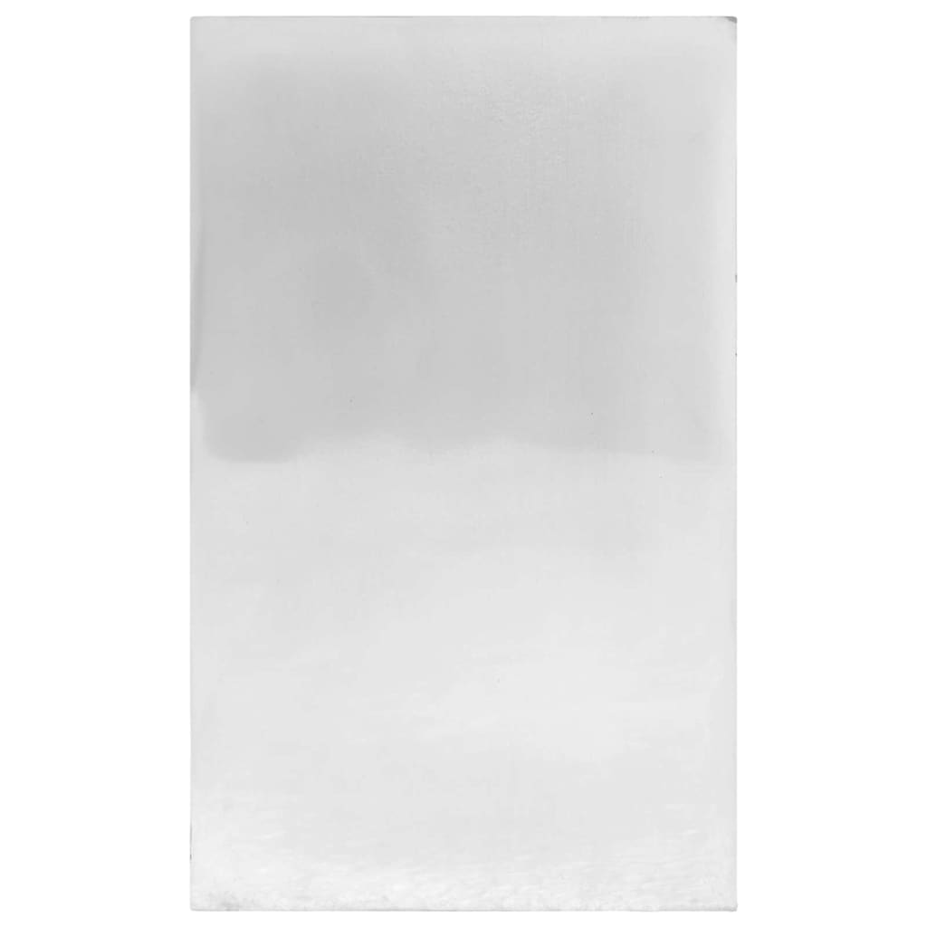 Fermalibri Vidaxxl 2 pezzi argento 8 x 12 x 16,5 cm alluminio