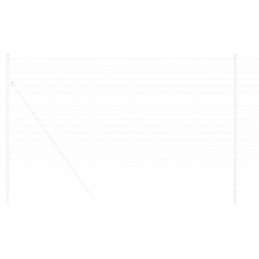 Vidaxl euro hek 1 x 10 m pvc-gecoat ijzer