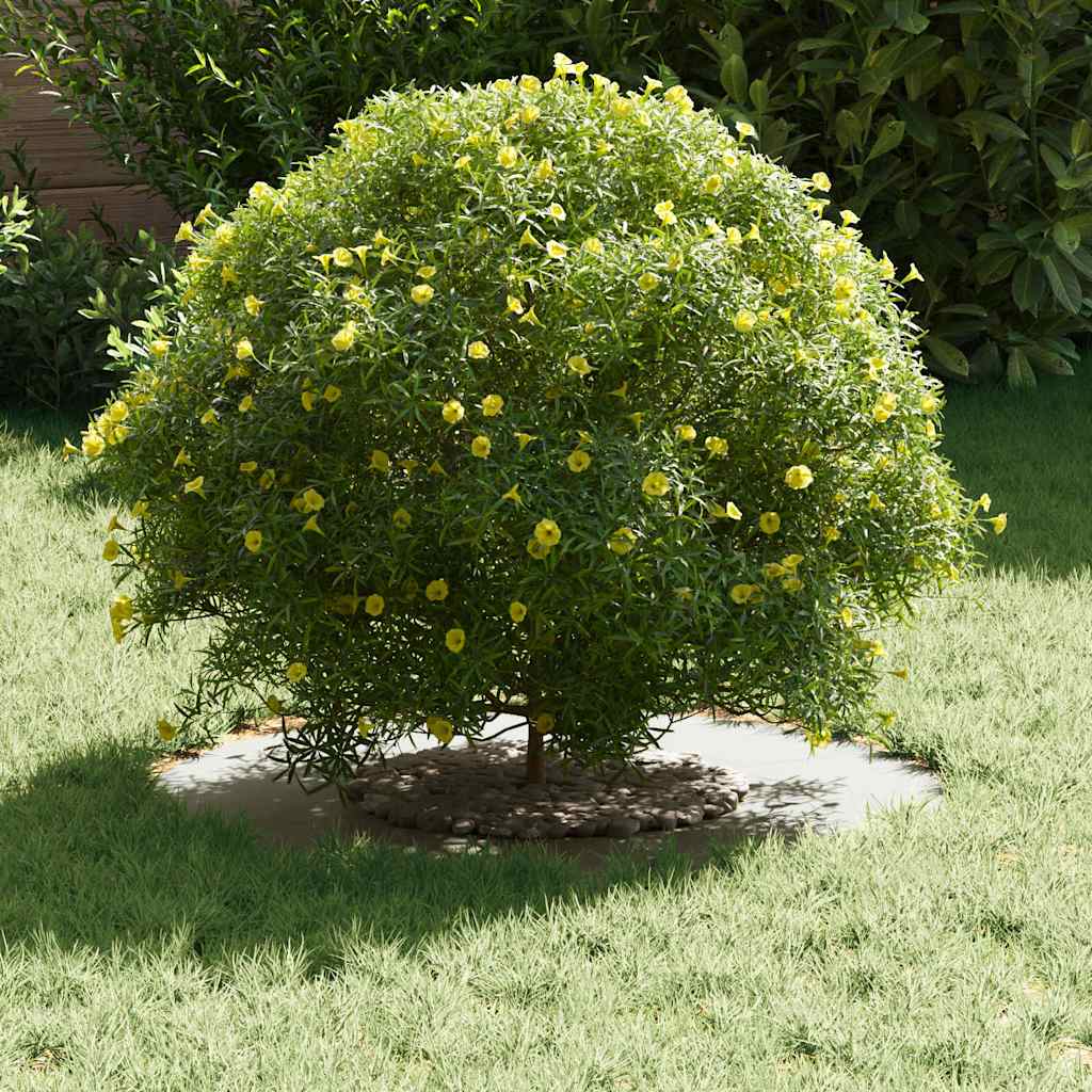 VidaXL adatto per anello piatto per albero bianco ø30 60 cm in acciaio