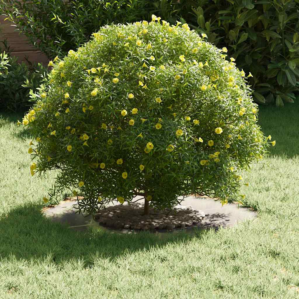VidaXL adecuado para anillos de árbol planos 5 piezas plata ø30 60 cm