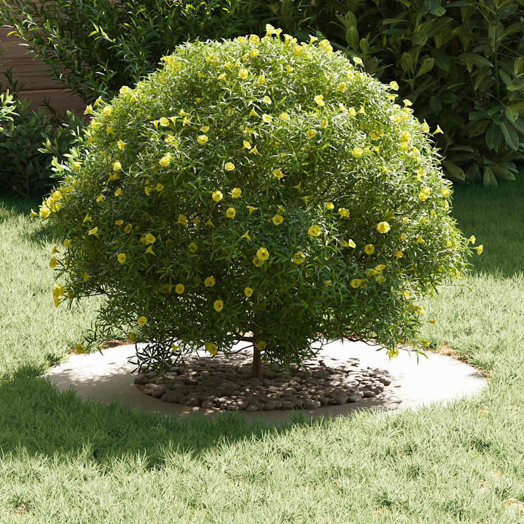 VidaXL adatto per anelli per alberi piatti 5 pz bianco ø40 70 cm in acciaio