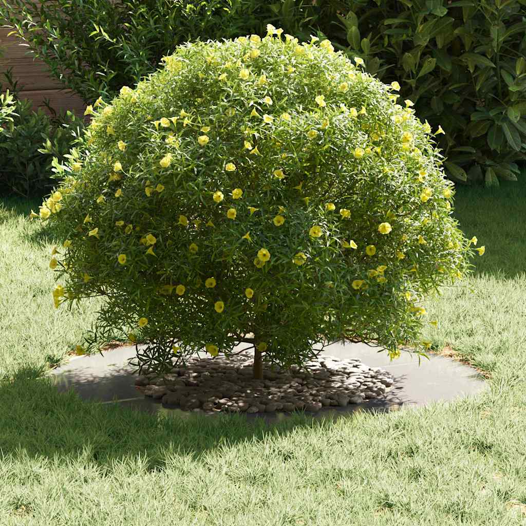VidaXL adatto per anello per albero piatto argento ø40 70 cm acciaio inossidabile