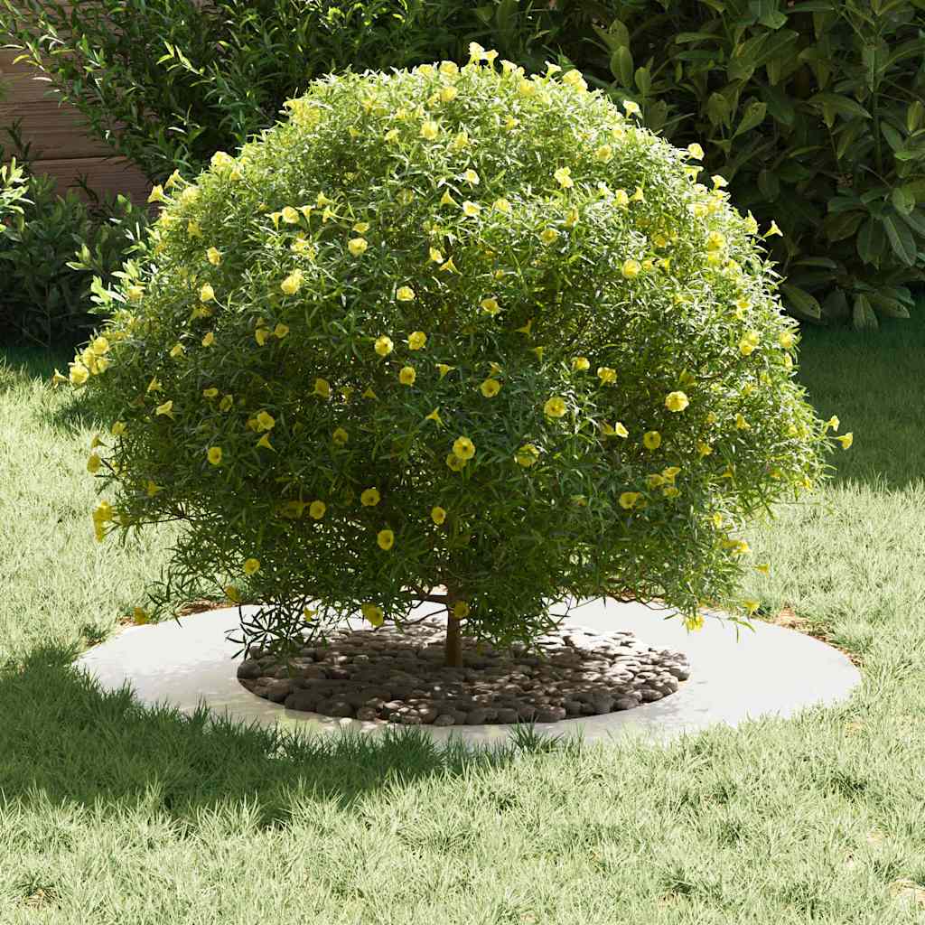 VidaXL adatto per anelli per alberi piatti 5 pz argento ø40 70 cm