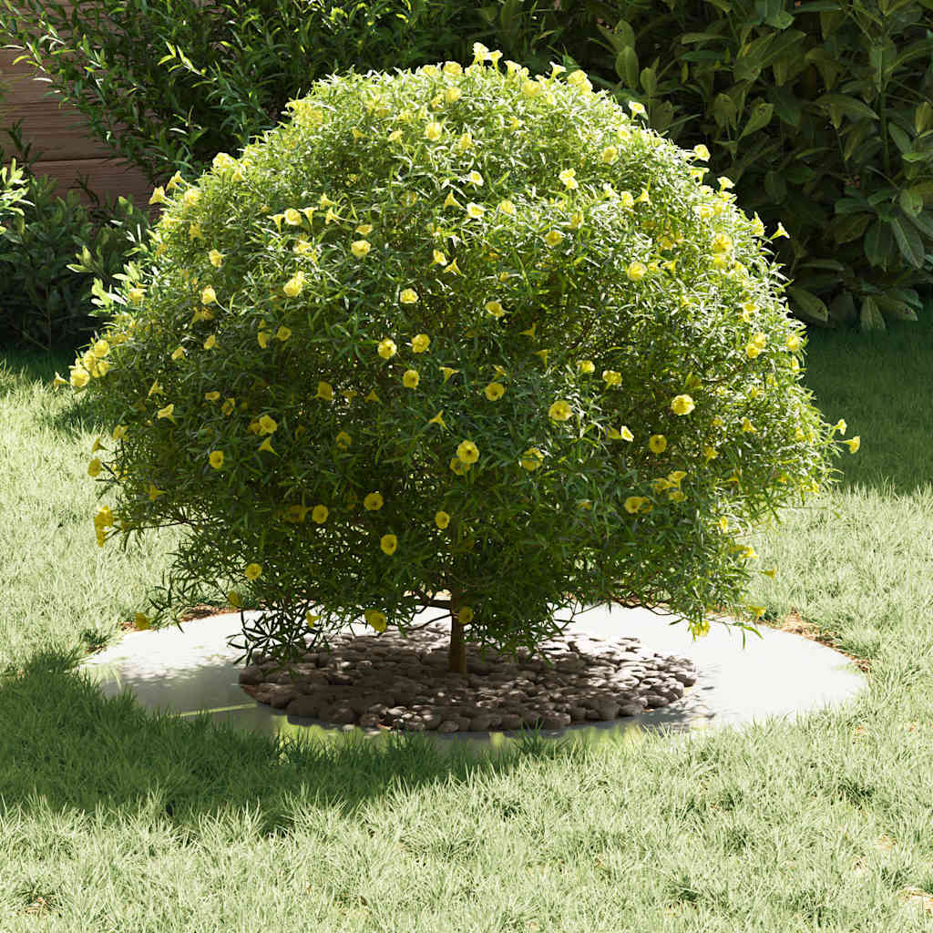 VidaXL adatto per anelli per alberi piatti 5 pz argento ø40 70 cm