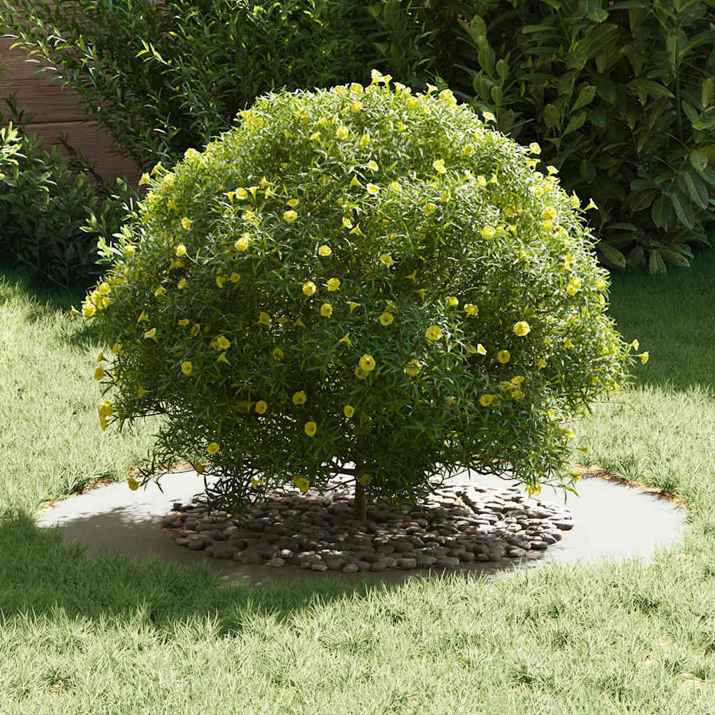 VidaXL apto para aro plano para árbol blanco ø50 80 cm acero