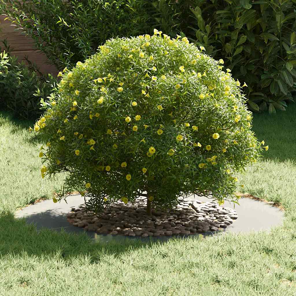 VidaXL adatto per anelli per alberi piatti 5 pz argento ø50 80 cm