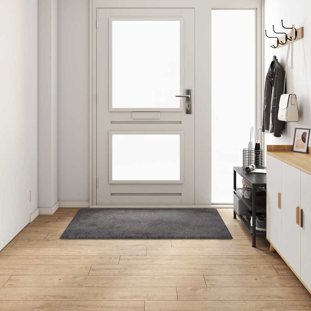 Alfombra de pasillo Vidaxx gris 100 x 150 cm 100% mechón de polipropileno