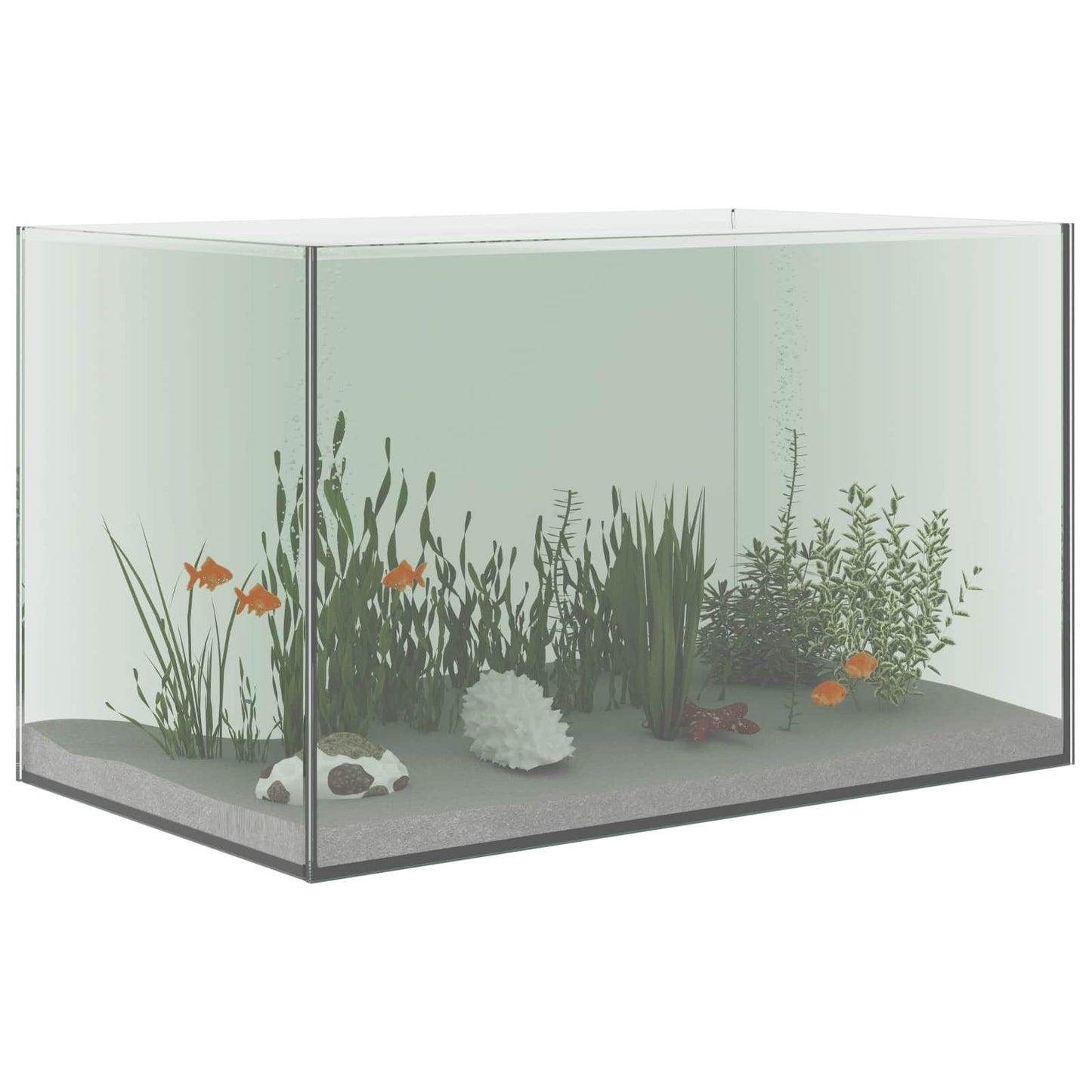 Acquario Vidaxx con contenitore in vetro trasparente 50 x 30 x 30 cm
