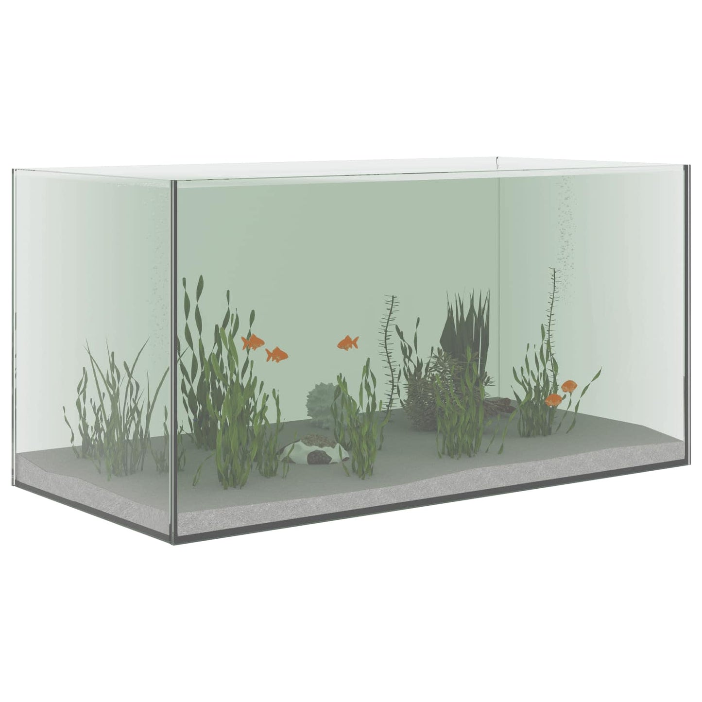Acquario Vidaxx con contenitore in vetro trasparente 60 x 30 x 30 cm