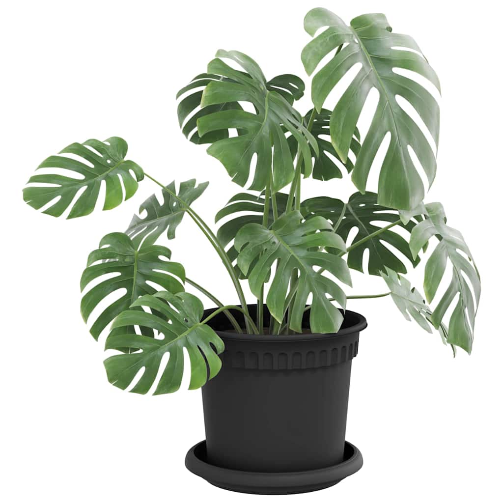 Vidaxl floreros redondos 6 piezas negro ø 15,5 x 2 cm plástico