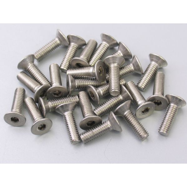 Bofix Allenbout M6X20 Acciaio inossidabile con testa affondata (25 pezzi)