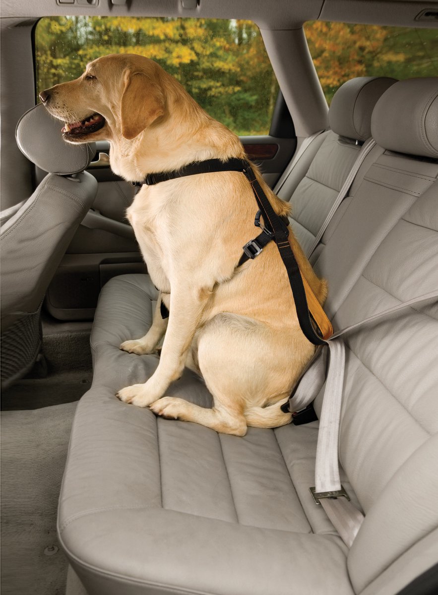 Arnés para perros Kurgo tru-fit smart arnés nylon negro talla xs