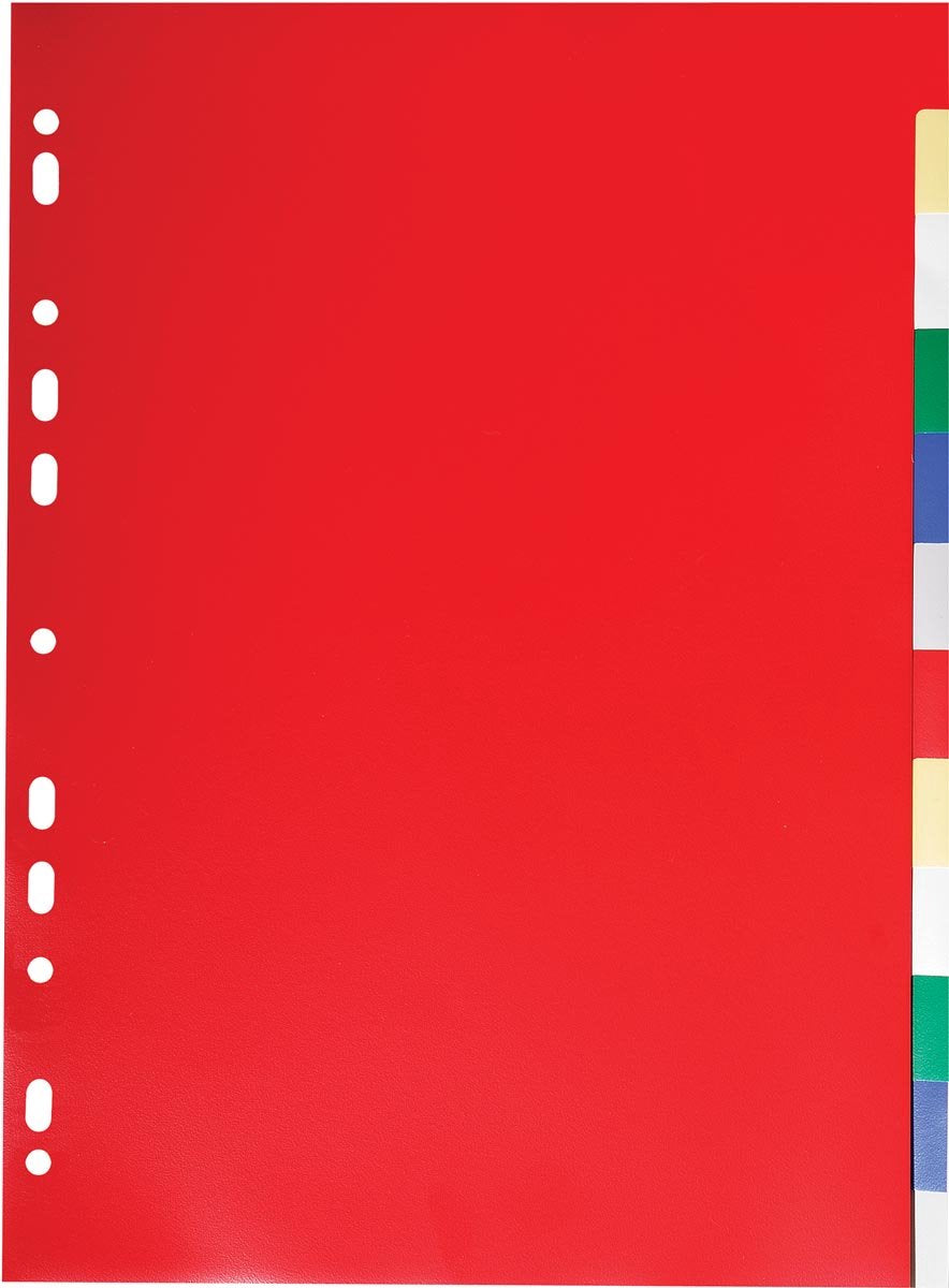 Exacompta tabbladen voor ft a4, uit pp 12 100e, 12 tabs, geassorteerde kleuren