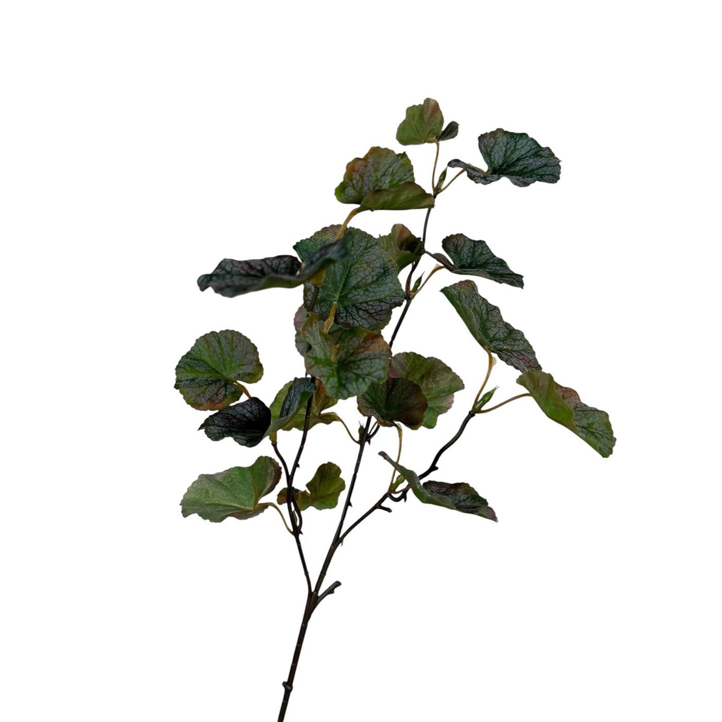 Collezione Roberts ramo artificiale foglia di garanium caffè grigio 55 cm