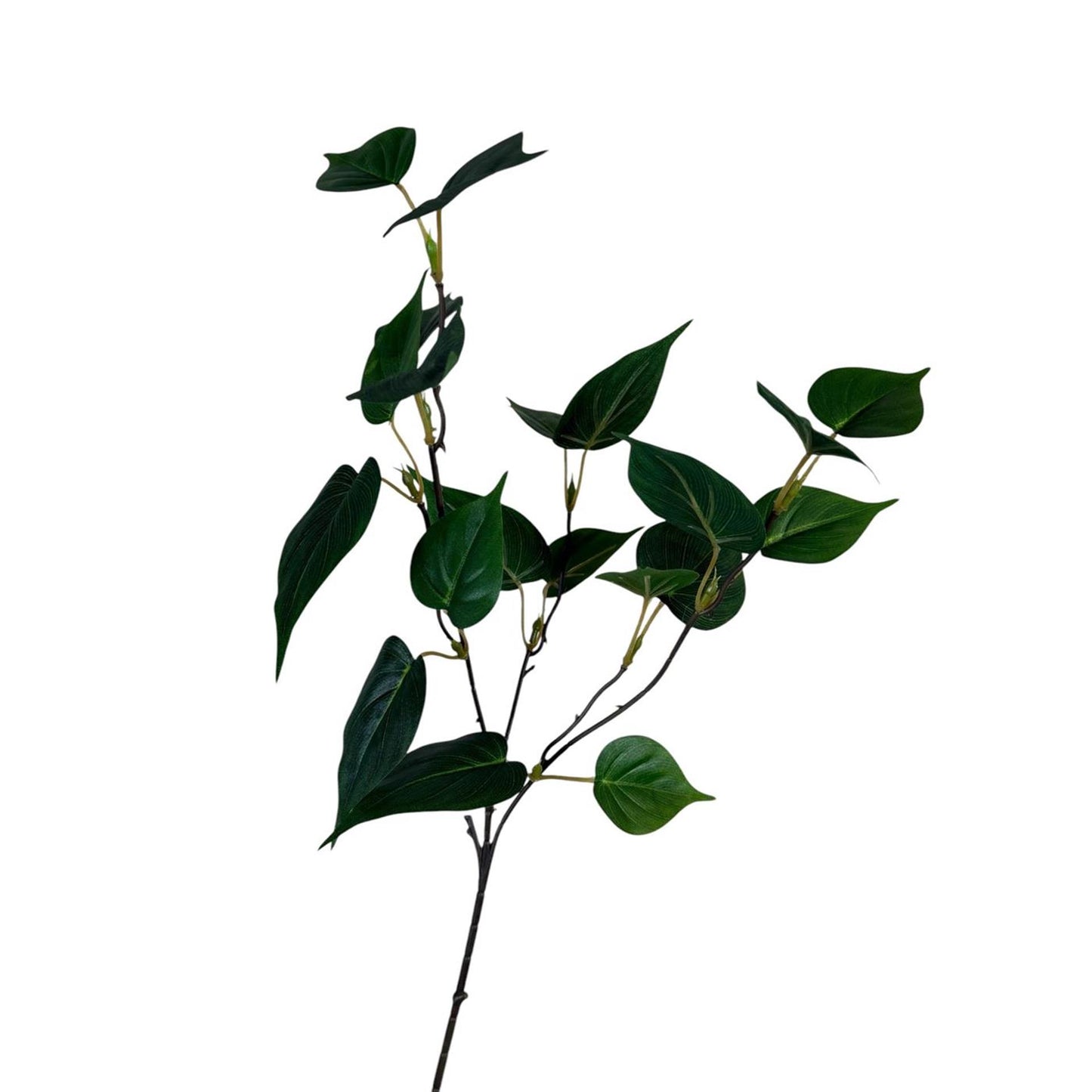 Roberts collection rama artificial hoja de sgindapsus verde 55cm