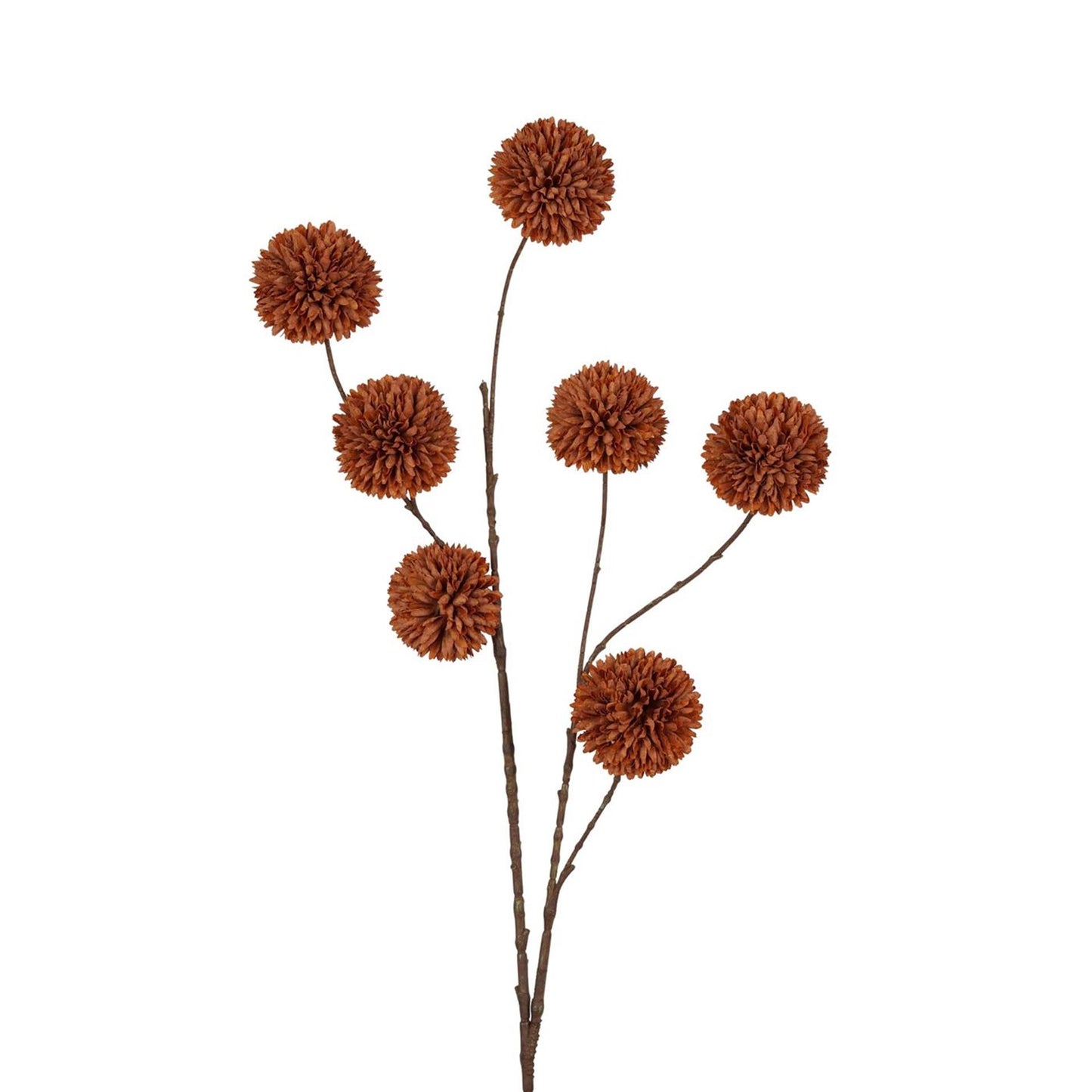 Collezione Roberts fiore artificiale pompon ramo 98 cm caffè chiaro