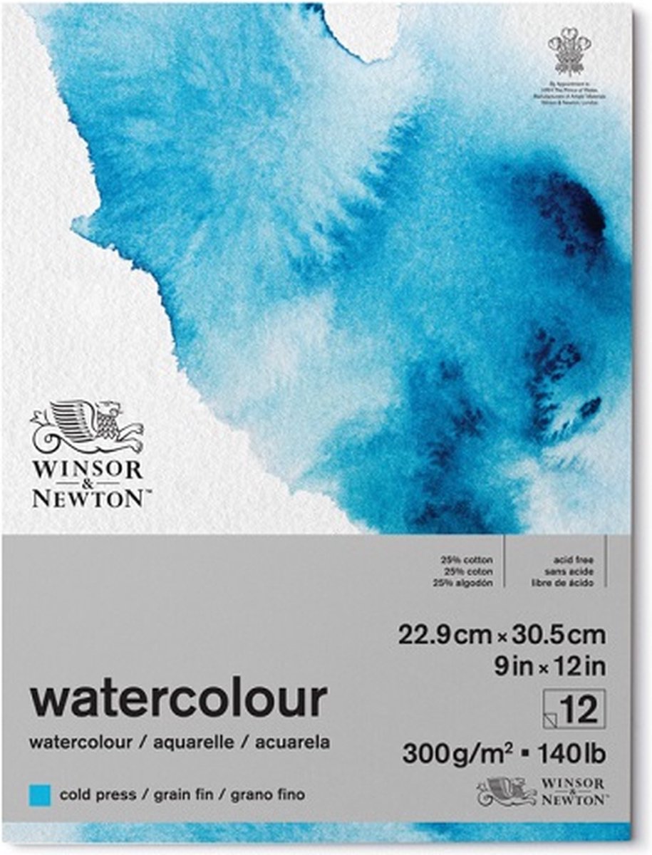 Blocco di pinne di carta da acquerello classico Winsor Newton Blocco da 300 grammi: 23 x 31 cm