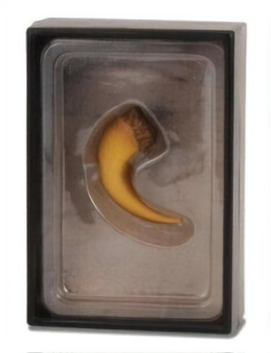 Collecta figurine gift set - baryonyx klauw
