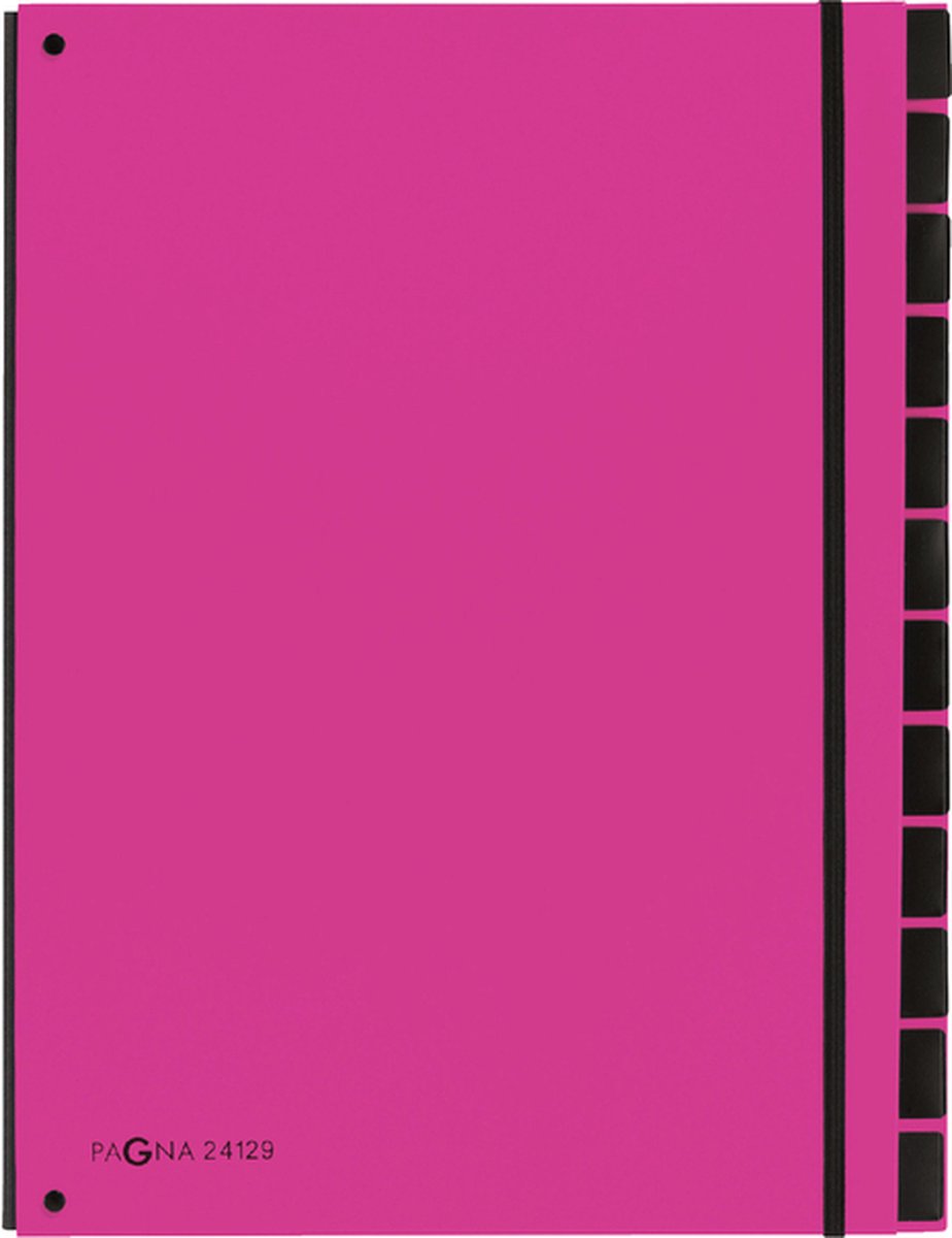 Pagna carpeta clasificadora tendencia 12 pestañas a4 rosa oscuro