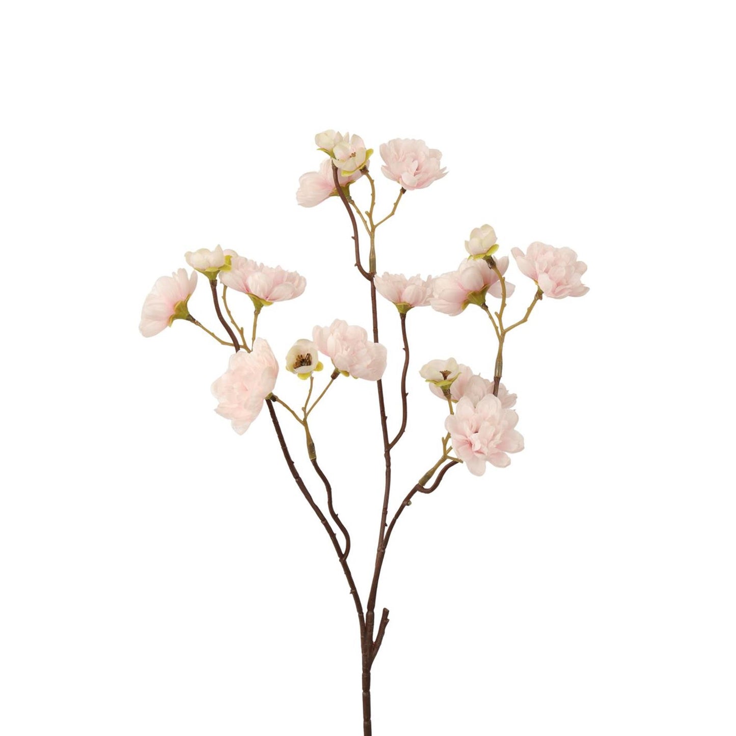Roberts collection rama artificial flor soleada blanco rosa 50cm