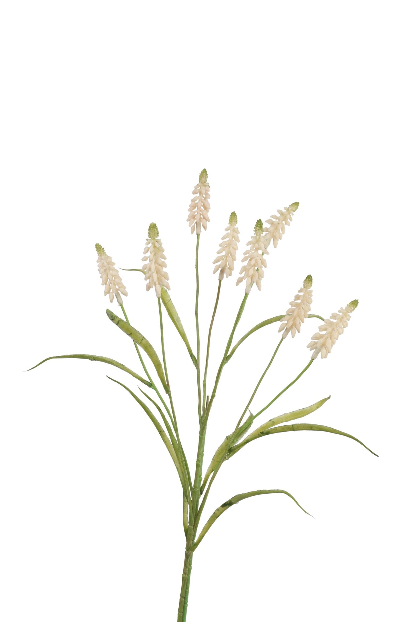 Collezione Roberts fiore artificiale uva bianca 60 cm