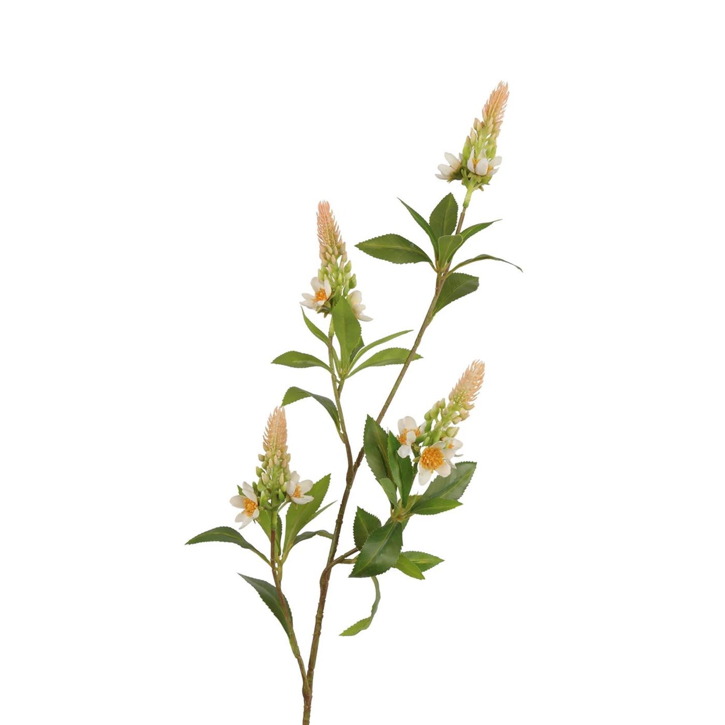 Roberts collection rama artificial pachystachys crema rosa 95cm