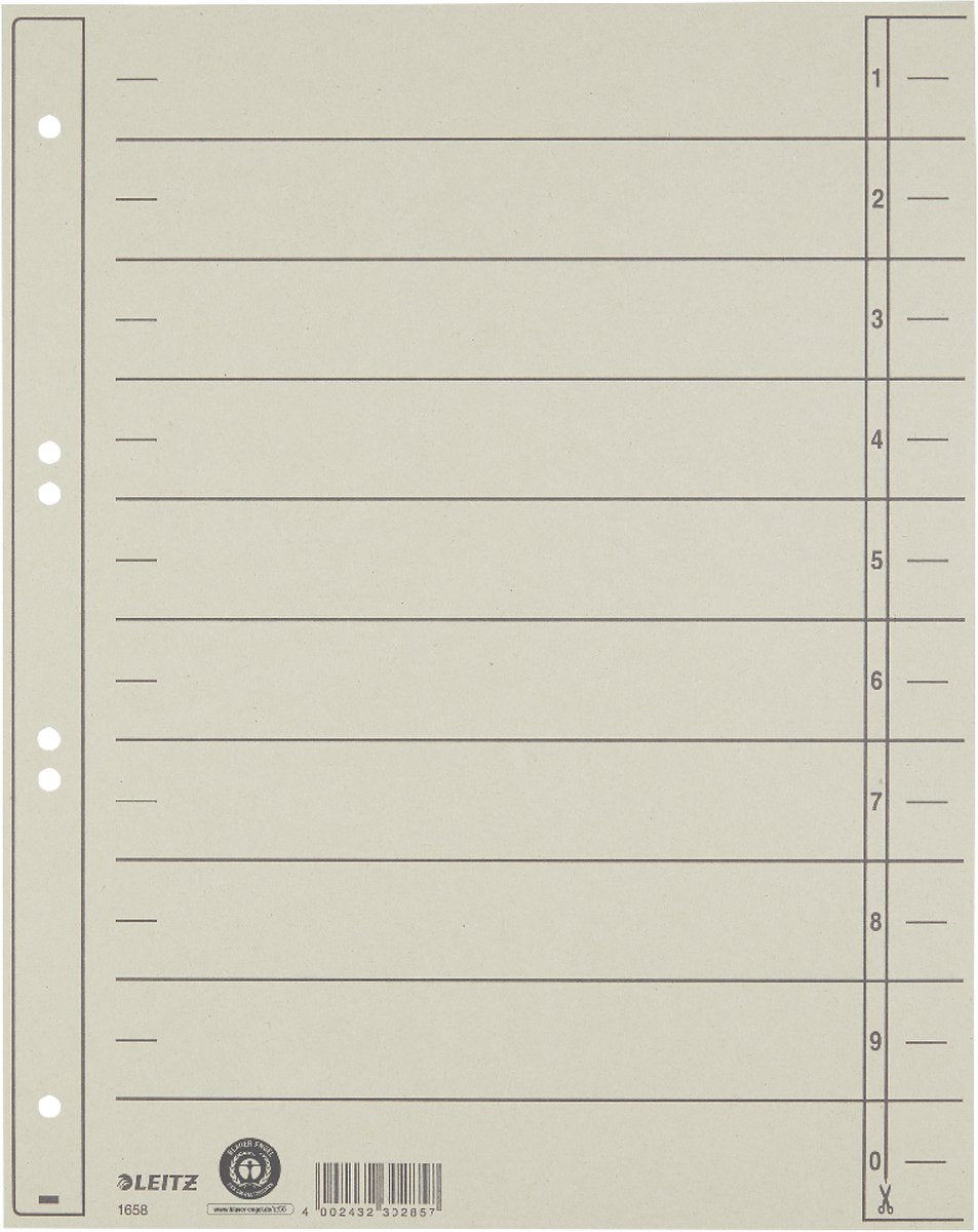 Leitz staffeltabblad karton - beschrijfbare tabs, 2 4-rings - voor ordners en ringbanden - grijs