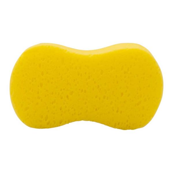Sponge (auto), modello grande