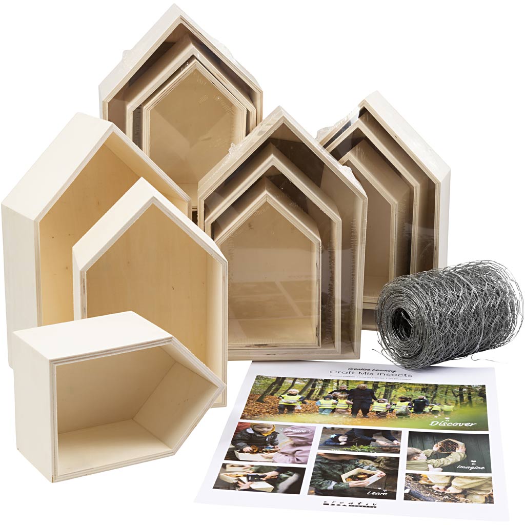 Creative Company Creative Box Box Insect Wood Set