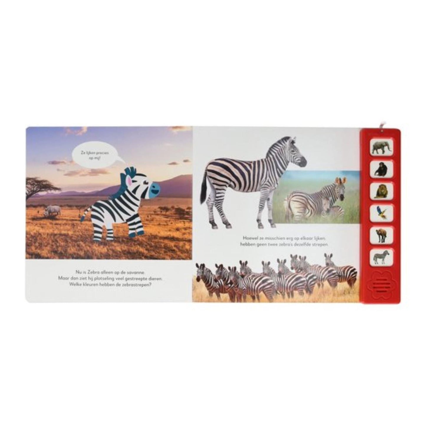 Carte orali Ascolta il libro audio di Wild Animals