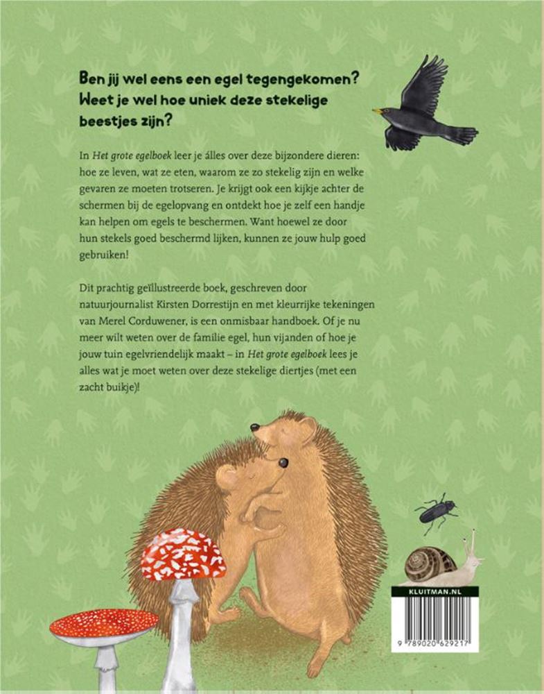 El gran libro del erizo 8+
