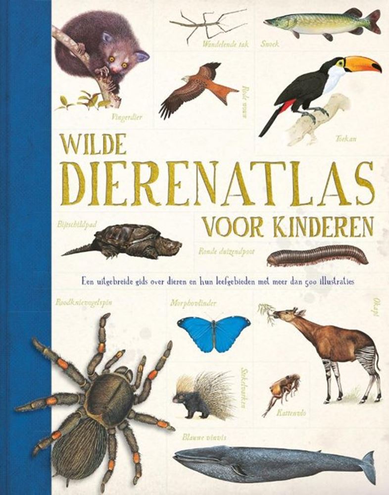 Rebo editores Wild Dierenatlas para niños