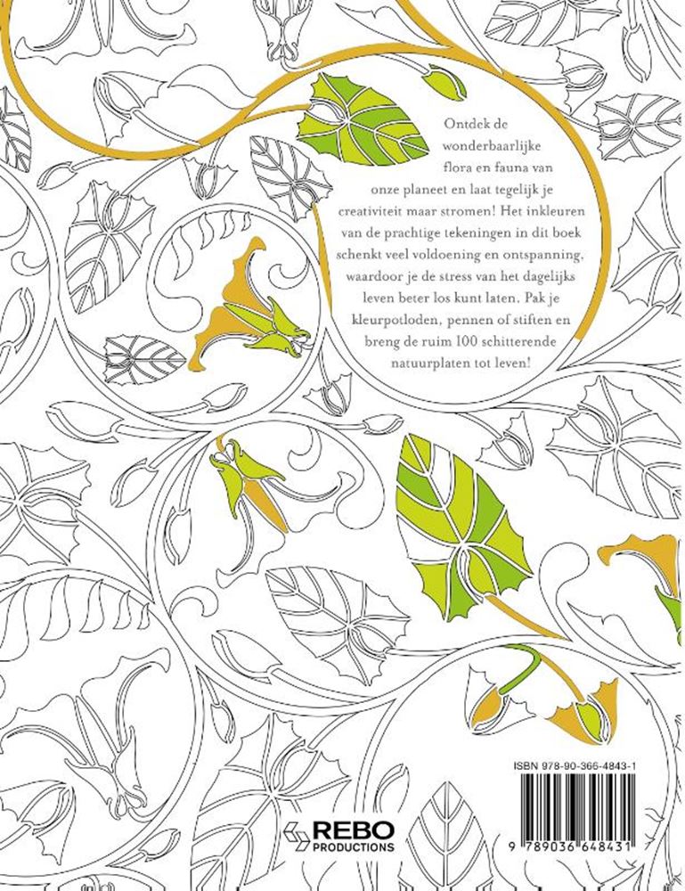 Editori Rebo natura meravigliosa - libro da colorare