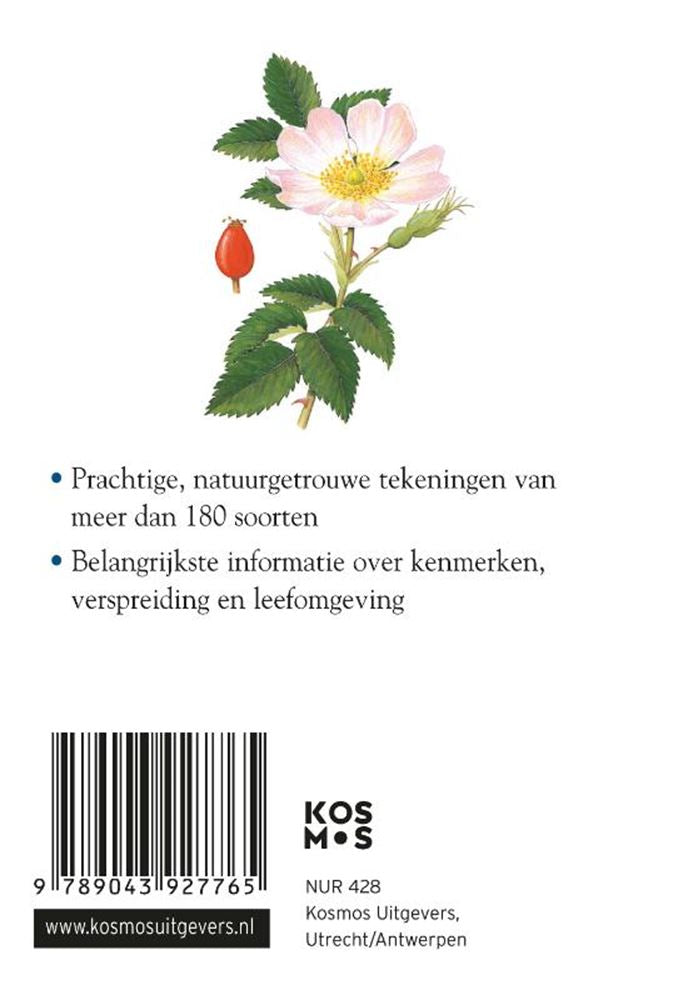 Compactgids: bloemen (pb)